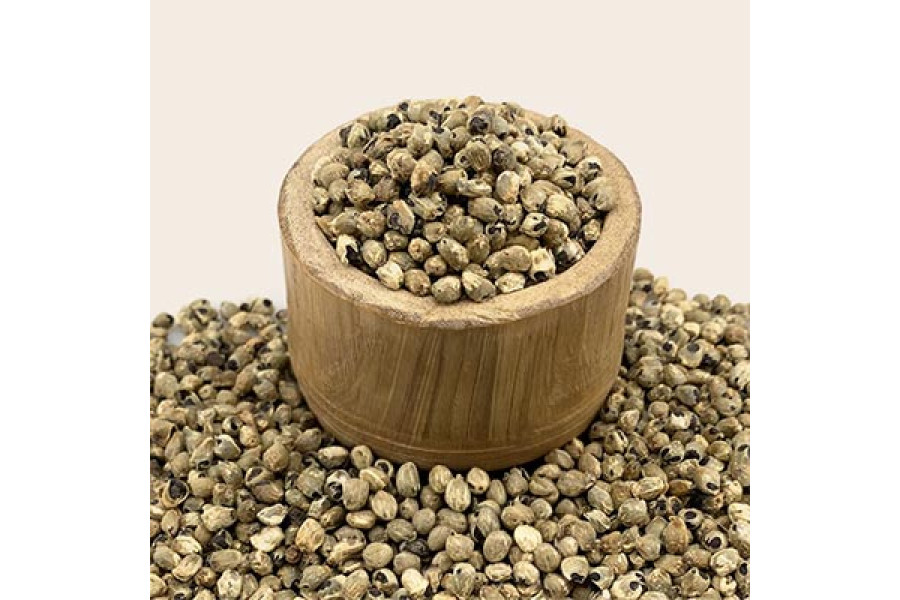 Ginger Seeds Ginger Seeds