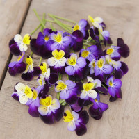 Johnny-Jump-Ups Seeds