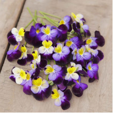 Johnny-Jump-Ups Seeds Johnny-Jump-Ups Seeds