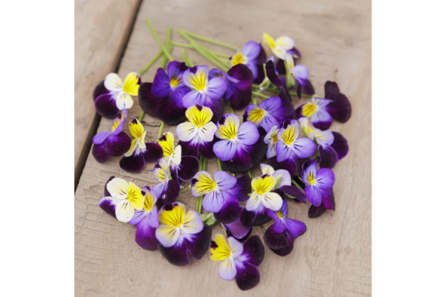 Johnny-Jump-Ups Seeds