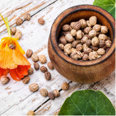 Nasturtium Seeds